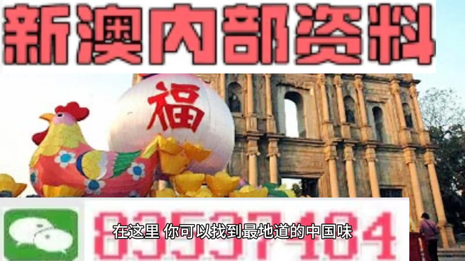 新澳门精准资料大全与管家婆料，探索与解读，澳门精准资料大全与管家婆料，深度解读与探索