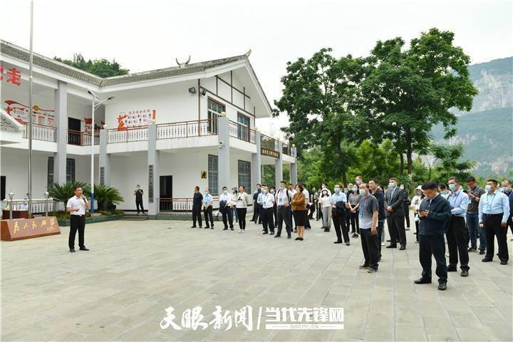 KV88的进化之路，探索与超越，KV88的进化之路，探索与超越之旅
