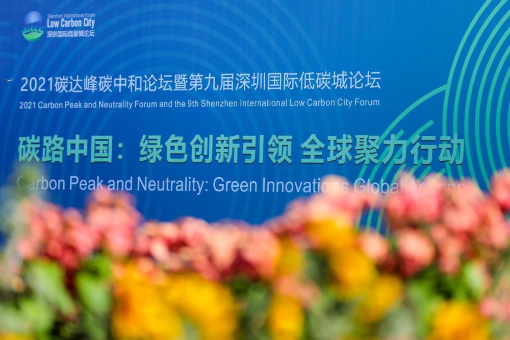 天涯论坛的国际观察板块，透视全球风云的窗口，天涯论坛国际观察板块，全球风云透视窗口