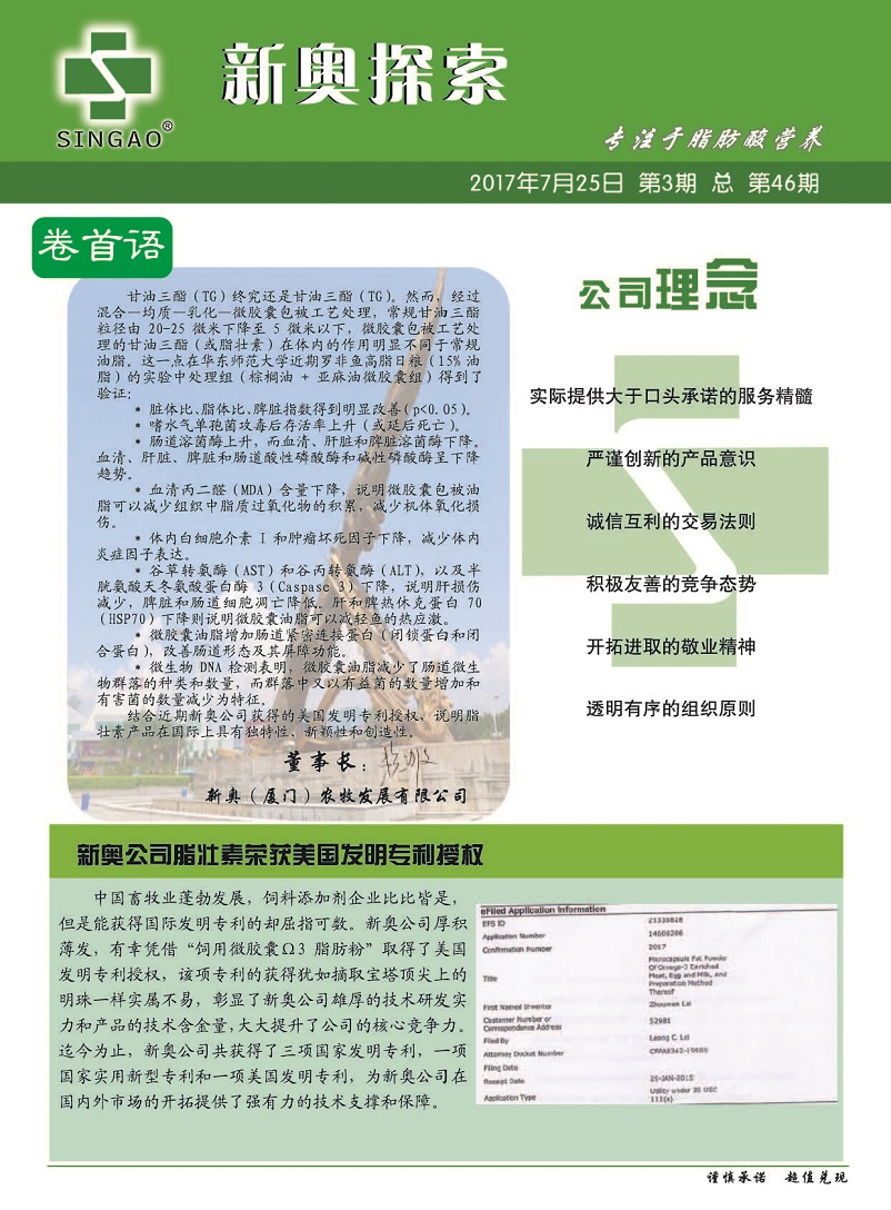 新澳2025精准正版查询近50期详解，新澳2025精准正版查询近50期深度解析
