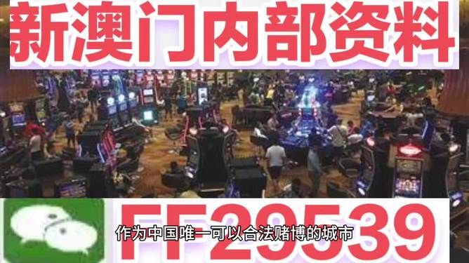 澳门今晚开奖记录，探索数字背后的故事与期待，澳门今晚开奖数字背后的故事与期待揭秘