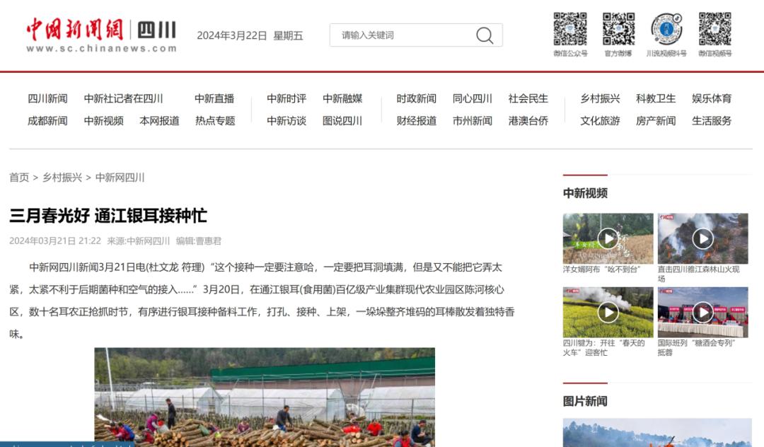 通江今天特大新闻，揭示新时代的繁荣与发展，通江今日瞩目新闻，揭示新时代繁荣与发展的壮丽画卷