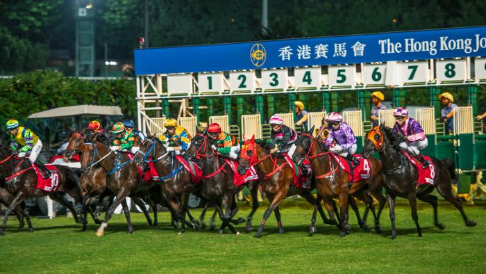 澳门马会内部消息