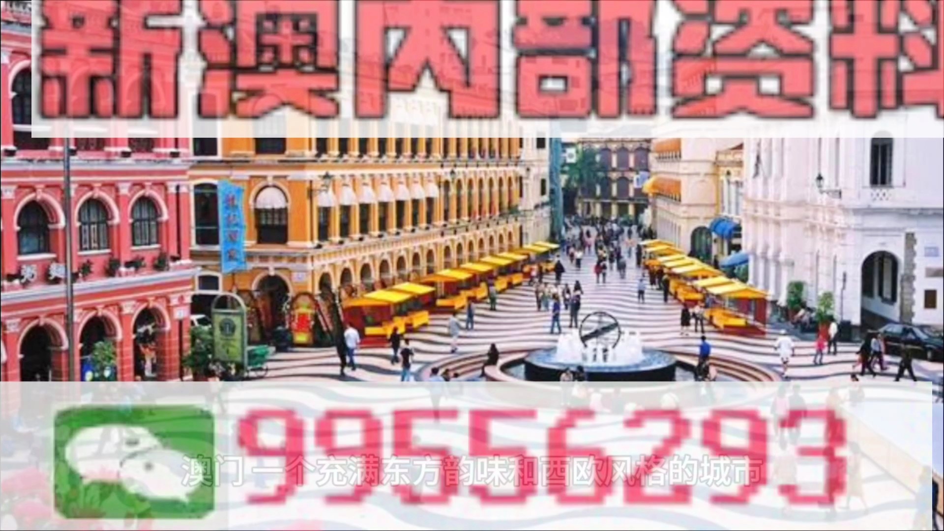 澳门内部资料精选大全，深度解读澳门的历史、文化与社会发展，澳门历史、文化与社会的深度解读，精选资料大全