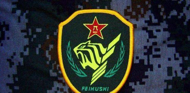 军改后的38集团军113师,新风貌与新征程,军改后38集团军113师,新风貌启航新征程