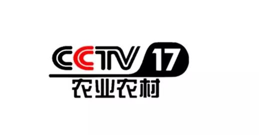 中央7台