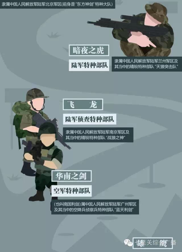 中国特种部队真实排名探究，中国特种部队真实排名深度探究