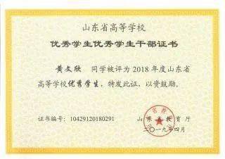 黄文欣，一个闪亮的名字，黄文欣，闪耀之名的故事