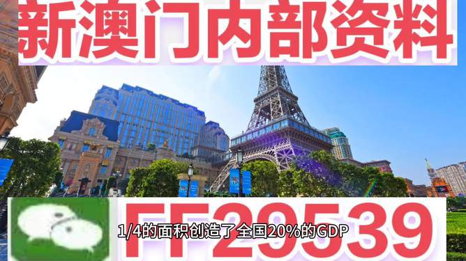 澳门六今晚开奖结果查询——探索彩票背后的故事与机遇，澳门六今晚开奖结果查询，揭秘彩票背后的故事与机遇