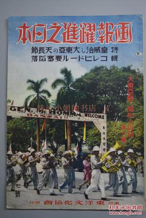 海南岛保卫战，一场英勇的战役，海南岛保卫战，英勇战役的壮丽篇章