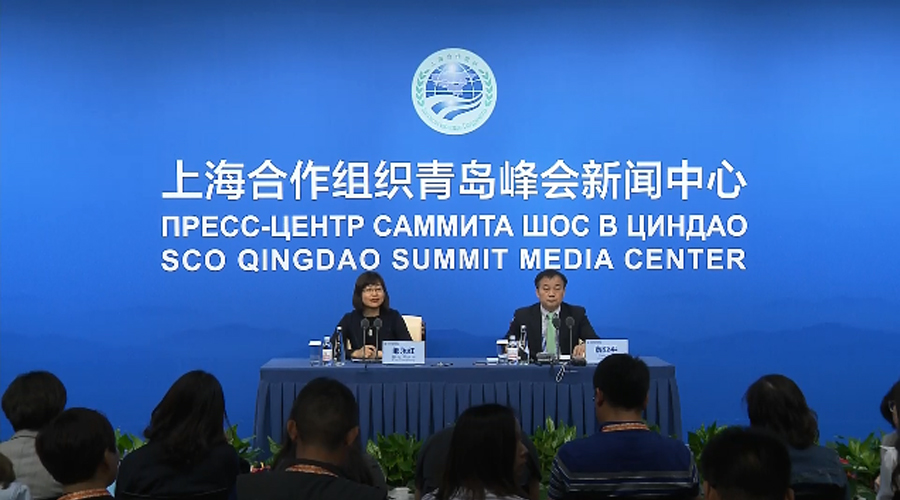 上合峰会青岛举办年份及其影响分析，上合峰会青岛举办年份与影响深度解析，一次国际盛会的力量与影响