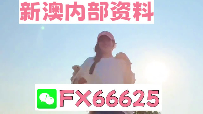 揭秘精准一肖，探寻数字组合77777与88888背后的秘密，揭秘数字组合77777与88888的神秘面纱，探寻背后真相