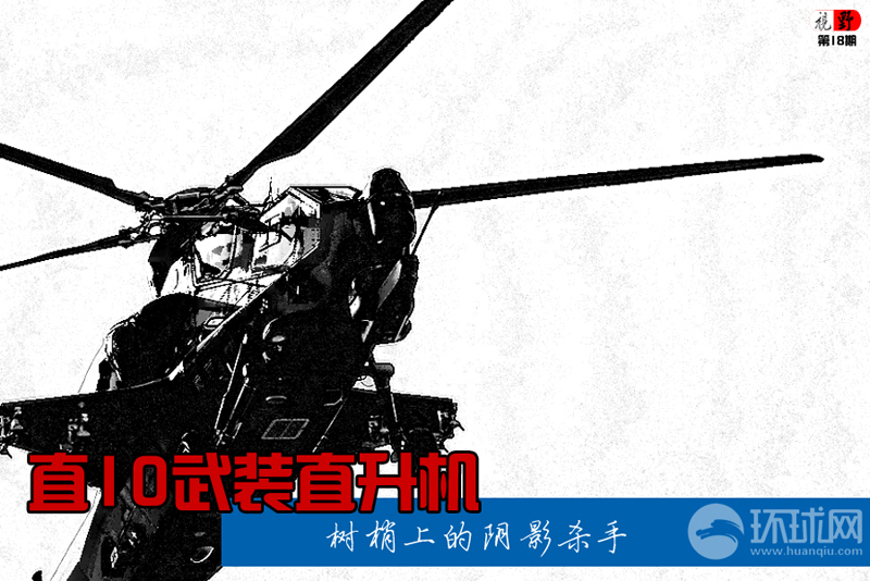 武直-10直升机的载重能力，深入解析，武直-10直升机载重能力深度解析