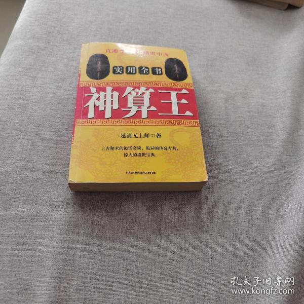 揭秘王中王玉资料背后的神秘面纱，神算子肖中特com的传奇故事，揭秘王中王玉背后的神秘故事与神算子肖中特的传奇经历