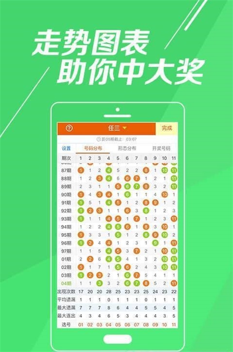 香港王中王一肖中特马，探索与解析，香港王中王一肖中特马，深度探索与解析