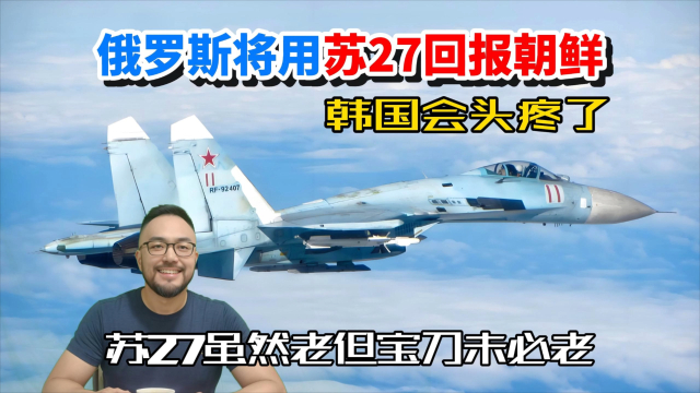 朝鲜拥有苏-27战斗机吗？，朝鲜是否拥有苏-27战斗机？
