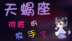天蝎武装直升机的力量与魅力，天蝎武装直升机的磅礴力量与无尽魅力