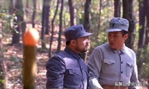 抗日神剧裤兜藏雷，历史与艺术的碰撞，裤兜藏雷的抗日神剧，历史与艺术的交锋