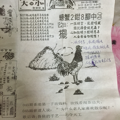 林中的高手王中王猜一肖——探寻智慧与勇气的象征，探寻智慧与勇气象征，林中高手王中王，猜一肖揭晓答案