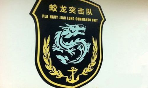 蛟龙突击队盾形金属徽章，荣耀的象征与力量的体现，蛟龙突击队盾形金属徽章，荣耀与力量的象征