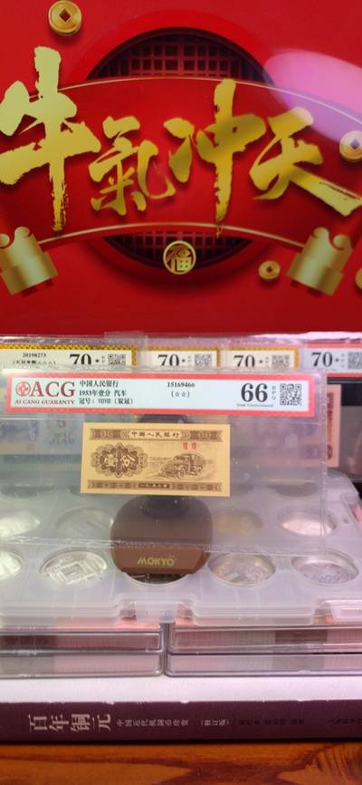 茂蜜森林王中王，打一生肖——深探生肖之王的森林奥秘，生肖之王揭秘，森林奥秘与生肖王者王中王探秘