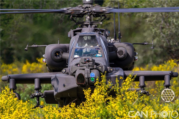 阿帕奇武装直升机与黑鹰,空中力量的独特交织,阿帕奇武装直升机与黑鹰,空中力量的完美交织