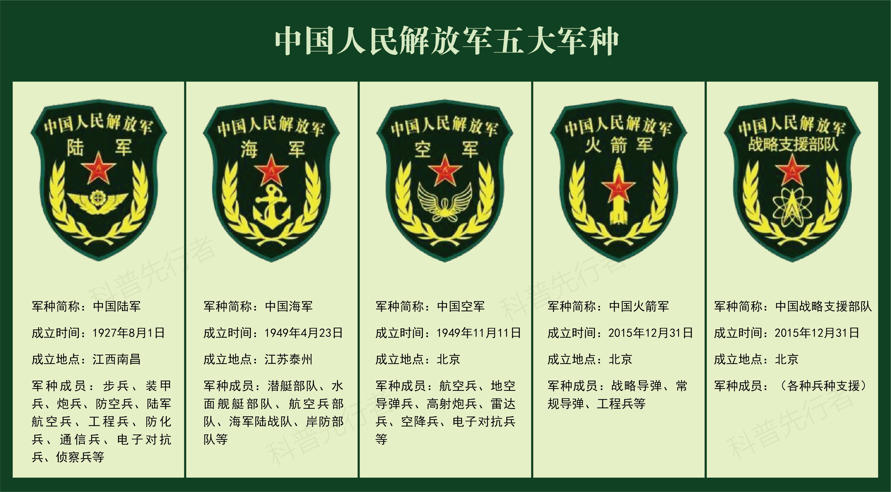 中国解放军的五大军种，构建强大的国防力量，中国解放军五大军种构建国防强国力量