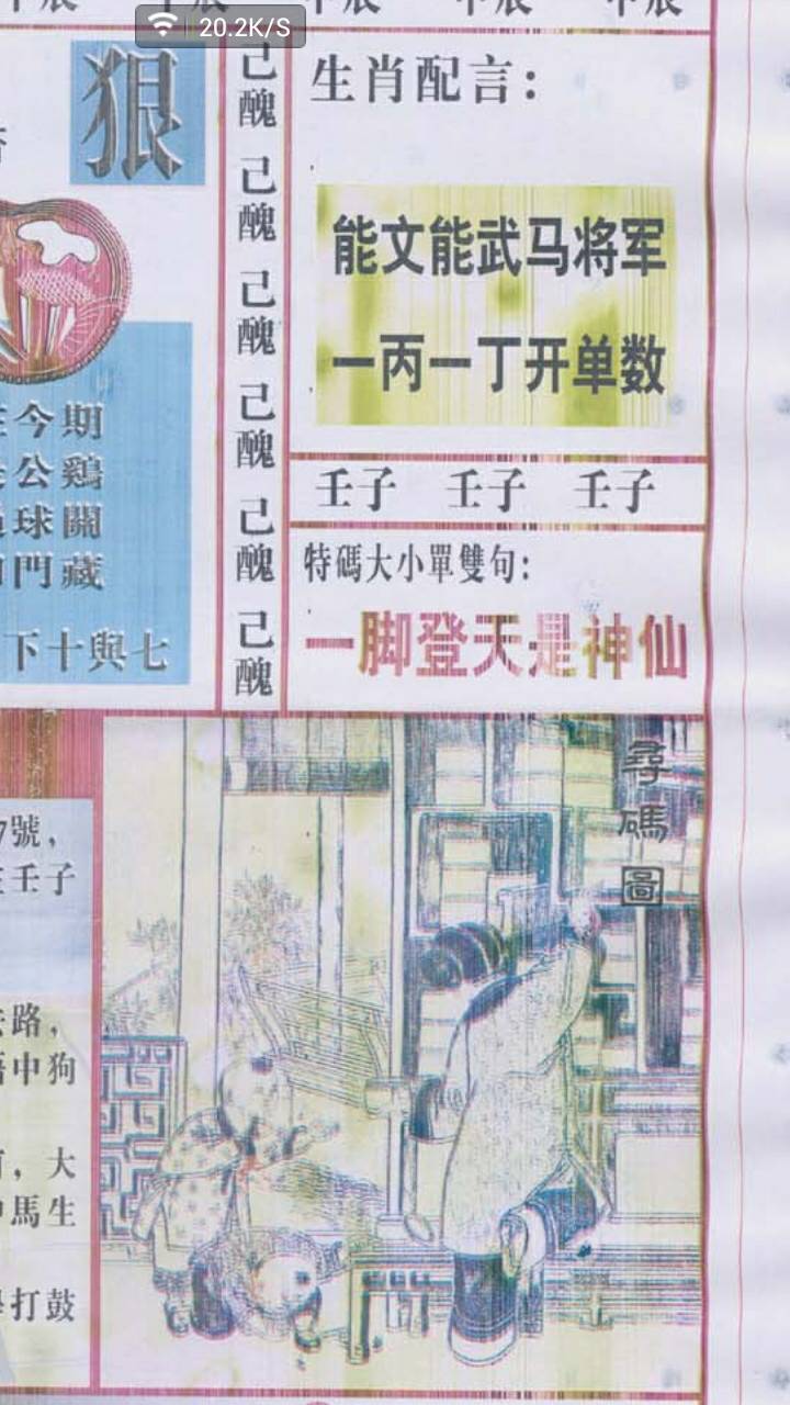王中王动物一肖图，探寻神秘图腾背后的故事，揭秘王中王动物一肖图，神秘图腾背后的故事探秘