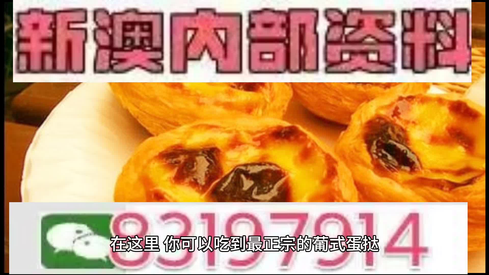 澳门最快开奖中特网，探索与体验，澳门最快开奖中特网，探索与冒险之旅
