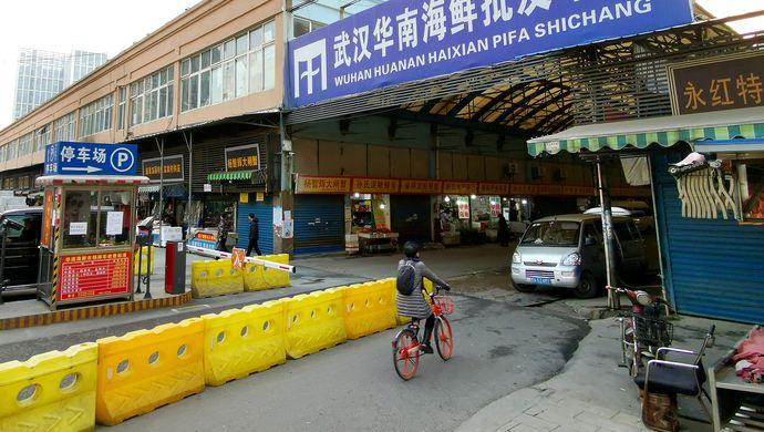 华南海鲜市场事件，探究背后的真相与挑战，华南海鲜市场事件真相探究与挑战