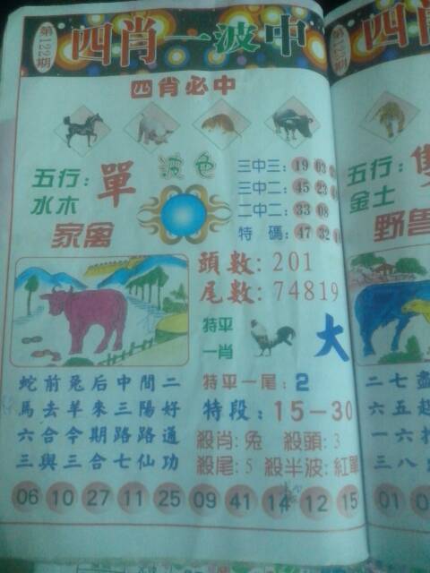 王中王355期指一生肖，探寻背后的故事与意义，探寻王中王355期生肖背后的故事与意义