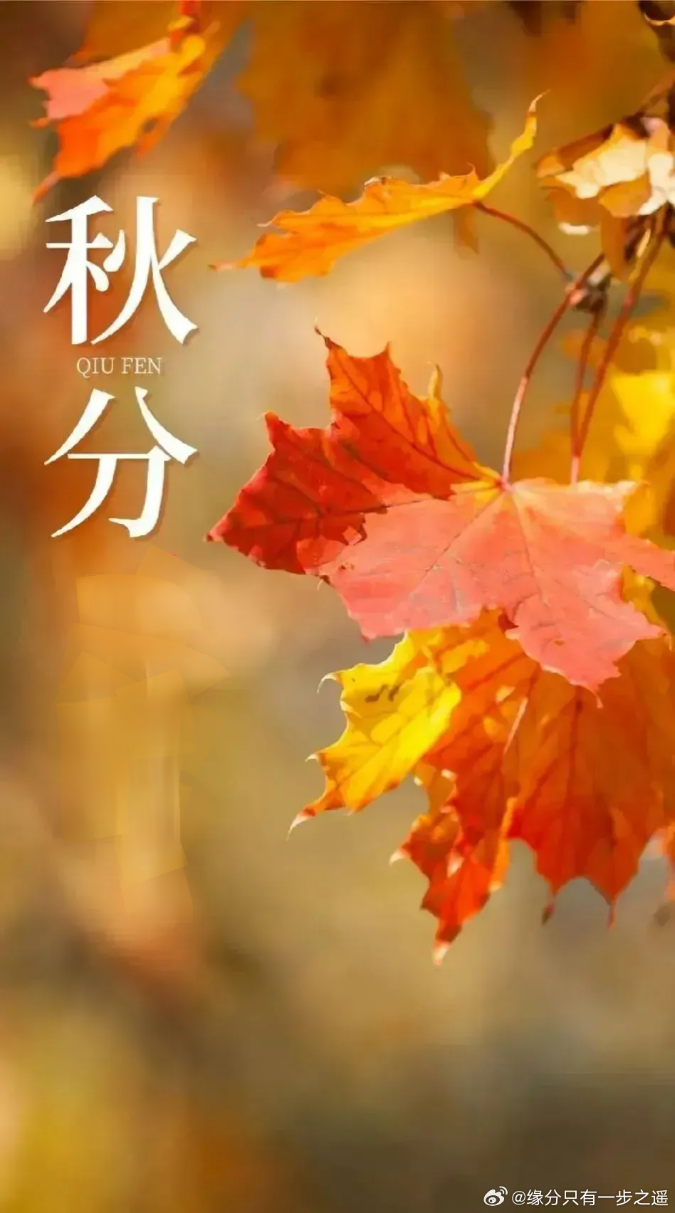 今天是哪个季节？探寻四季的魅力与特点，今日季节探秘，四季的魅力与特点