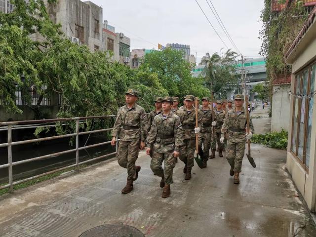 南部战区部队番号，揭秘中国国防力量的重要支柱，揭秘中国国防力量的支柱，南部战区部队番号解析