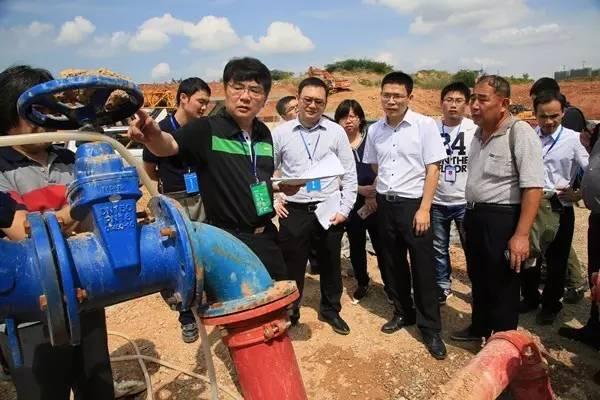 最近三天的新闻报道概览，最近三天新闻报道概览速递