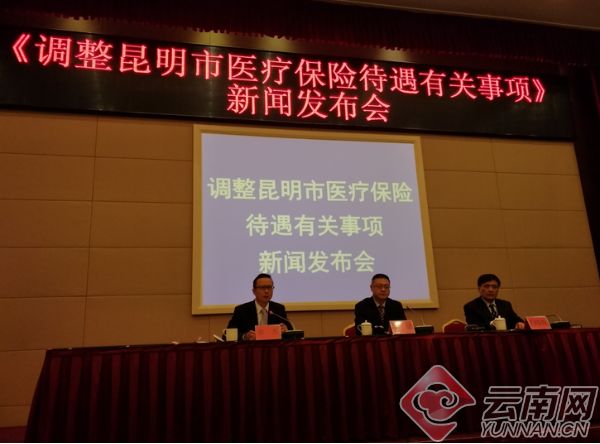 昆明最近新闻大事概览，昆明最新新闻概览