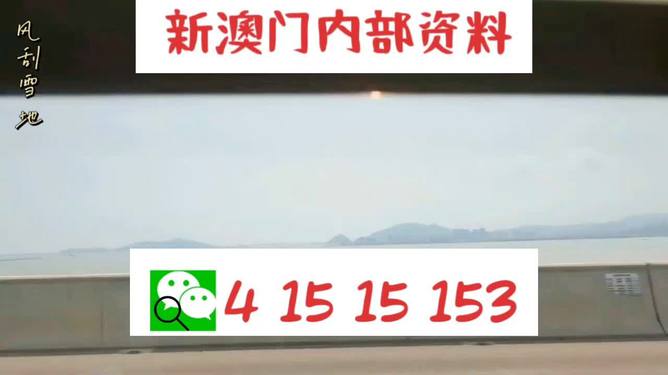 澳门码精准资料，探索未来的关键所在（2022年），澳门码精准资料揭秘，探索未来关键所在（2022年）