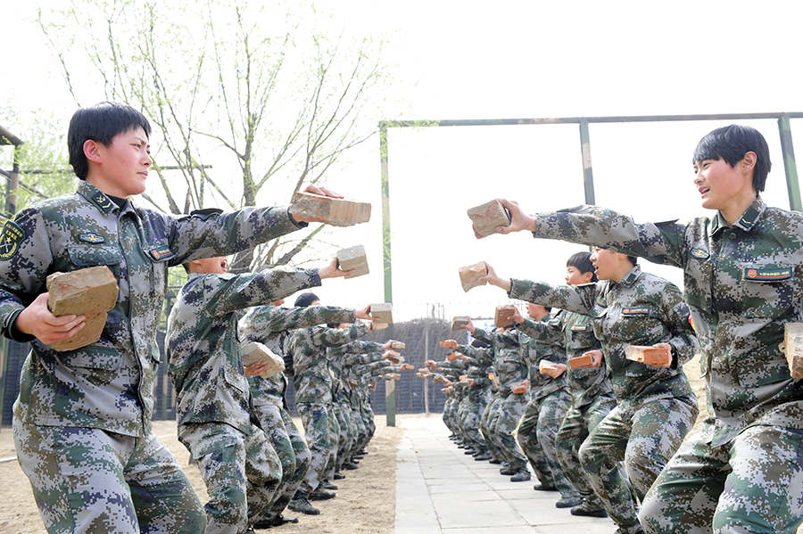 中国女特种兵电影全景解析，中国女特种兵电影深度解析与探讨