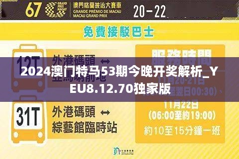 澳门今晚活动，一场文化与娱乐的盛宴（2025年），澳门今晚活动，文化与娱乐盛宴开启（2025年）