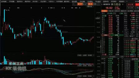 股票财经，探索金融市场的脉搏，股票财经，探索金融市场的动态与脉搏