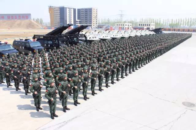中国特种警察学院的独特魅力与卓越贡献，中国特种警察学院的独特魅力及其卓越贡献