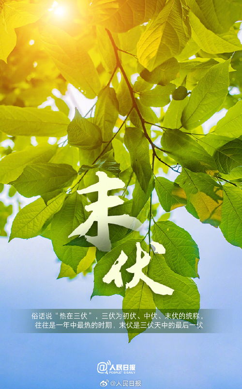 末伏来临，今日是否已到末伏？，今日末伏来临，你是否感受到秋意微凉？