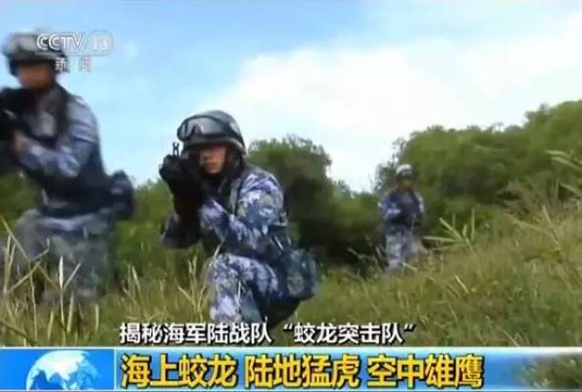 蛟龙突击队肩章，荣耀与责任的象征，蛟龙突击队肩章，荣耀与责任的标志