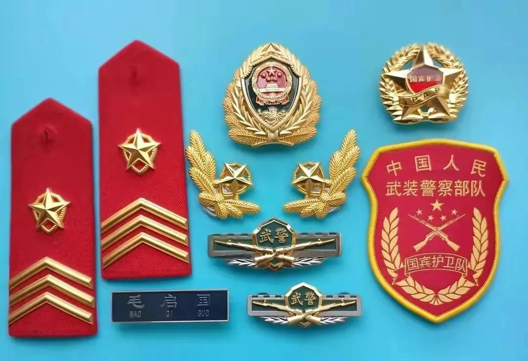 国宾护卫队礼服与肩章，荣耀的象征与职责的彰显，国宾护卫队礼服与肩章，荣耀与职责的交织展现