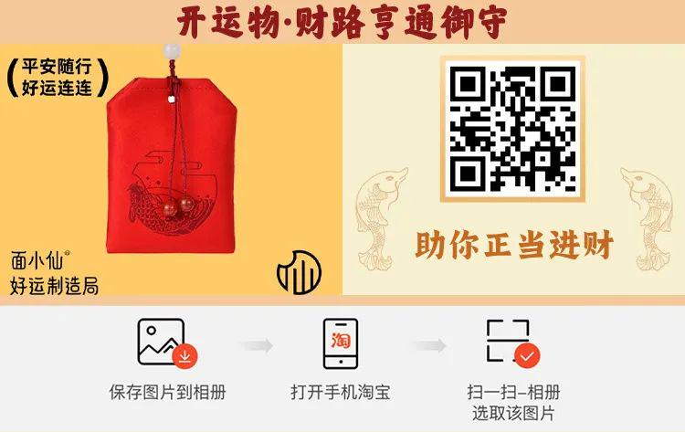 二肖二码，探索与解析，二肖二码，探索与解析的秘密