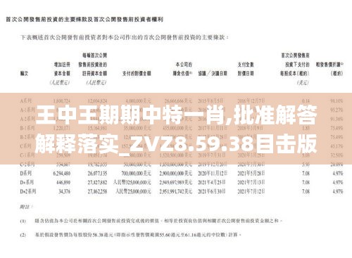 探寻王中王，在生肖彩票中的传奇，探寻生肖彩票传奇，王中王的神秘之旅