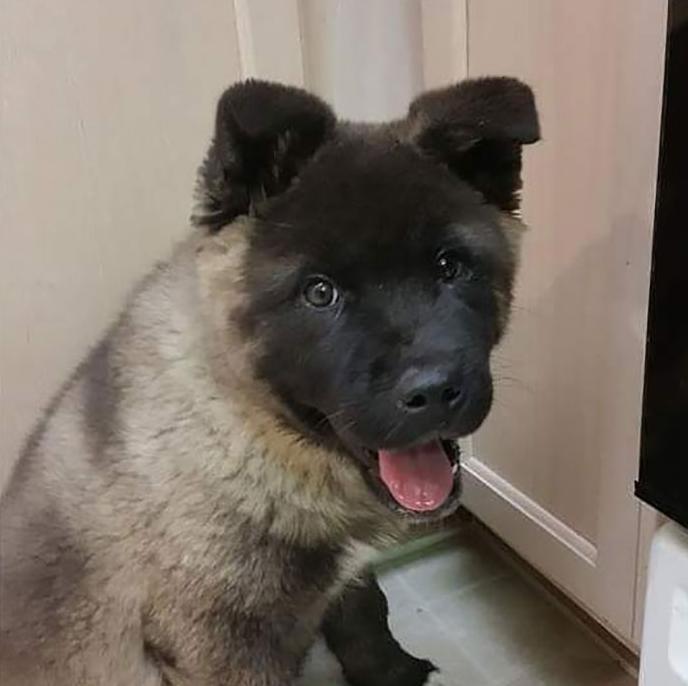 世界十大重大疾病排名及其影响,世界十大重大疾病的排名与影响分析