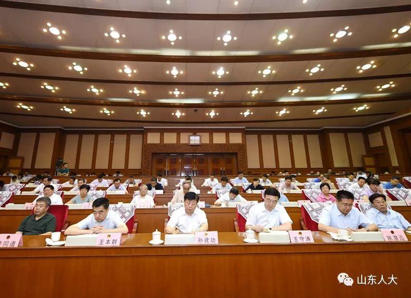 时事新闻最新消息深度解析，时事新闻最新消息深度解读报告