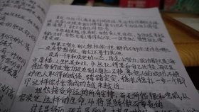 新闻摘抄与感受，2023年的时代脉搏，2023时代脉搏下的新闻摘抄与感受