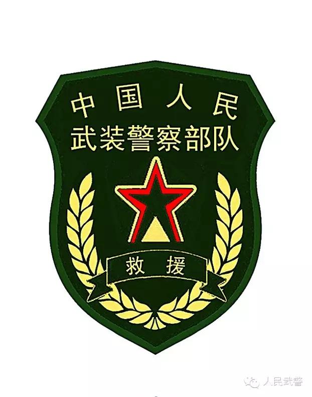 中国武警特战臂章，荣耀与责任的象征，中国武警特战臂章，荣耀与责任的独特标志