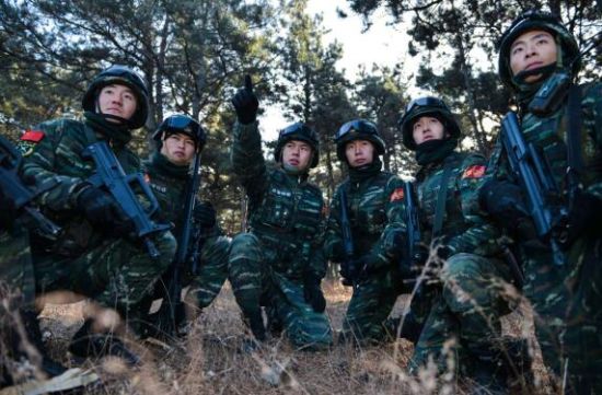关于将某师改编为武警支队的探讨，某师改编为武警支队，深度探讨与解析